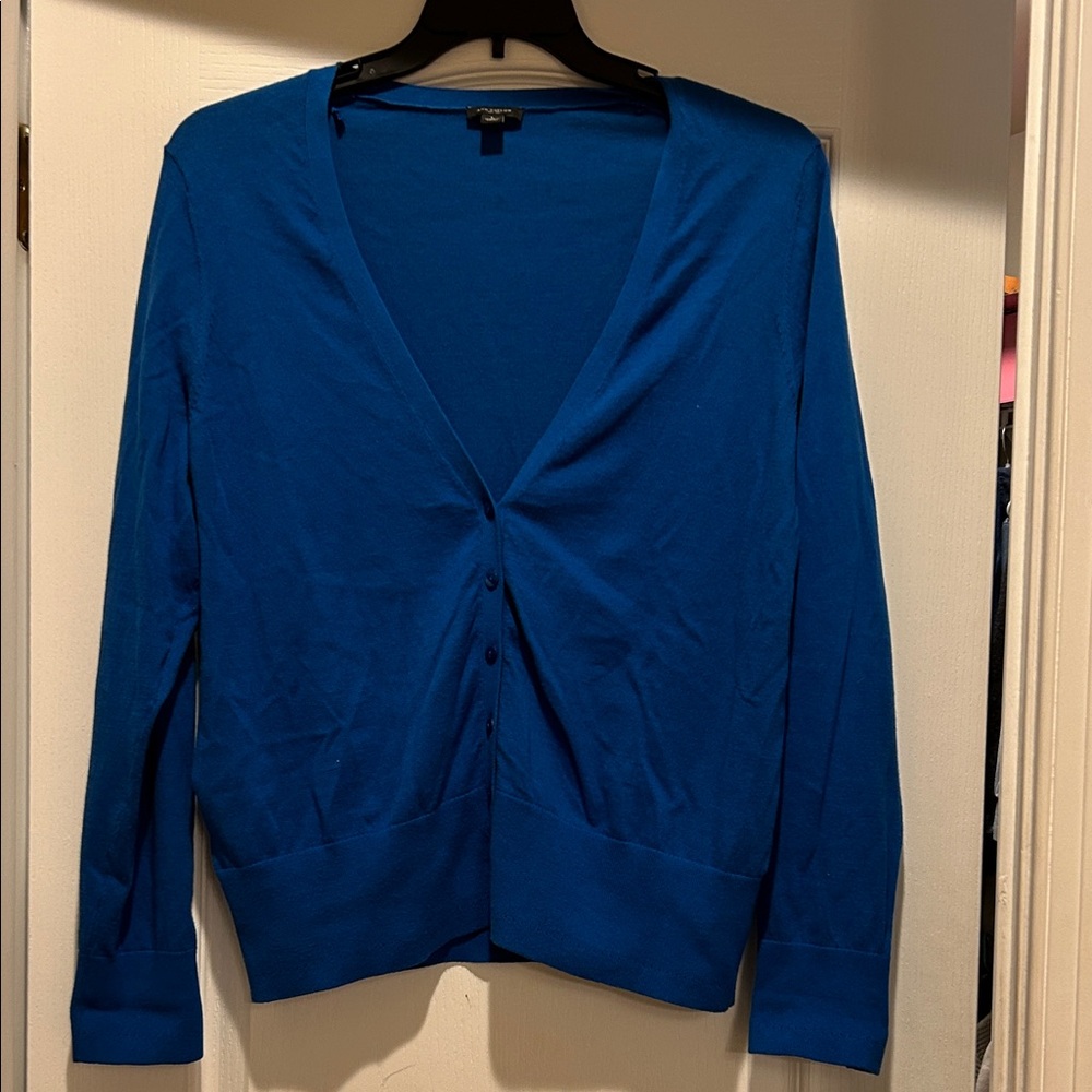Ann Taylor Vibrant Blue Knitwear